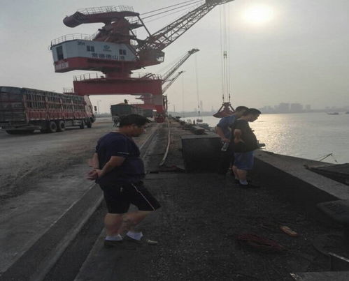 市交通運輸局赴岳陽港、常德港考察學習碼頭建設與管理經(jīng)驗