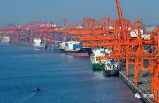 廈潮合建碼頭雛形初現，助力區域協同發展計劃明年上半年投用